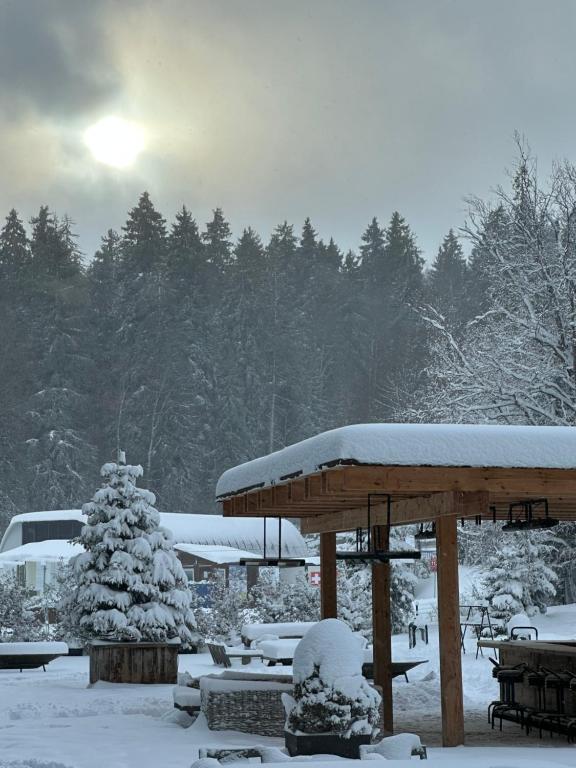 Rooms Hotel Kokhta Apartments v zimě