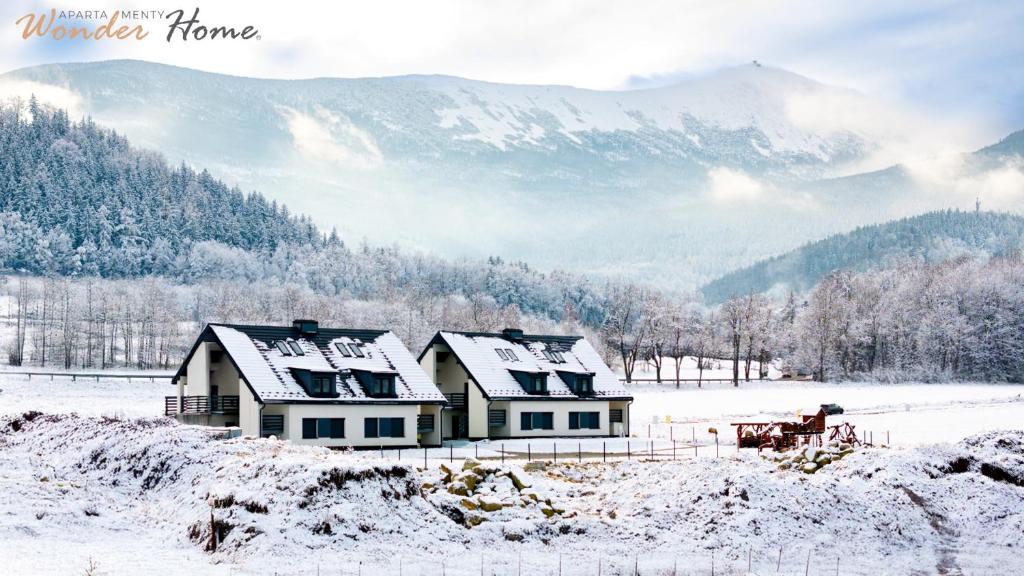 Wonder Home - Domek Sielsko Czarodziejsko blisko Karpacza, z kominkiem, z widokiem na góry i tarasem v zimě