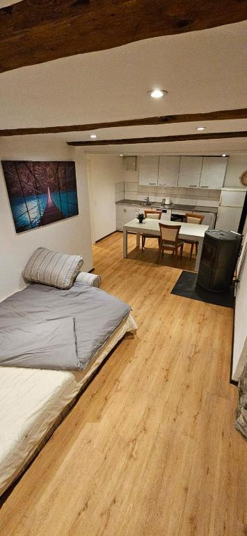 Airolo with private parking - Appartement De Luxe D'une Chambre