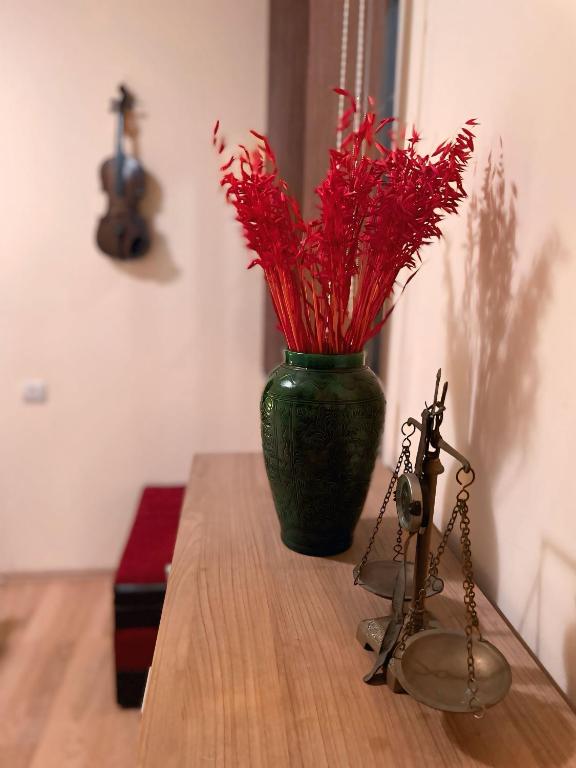 Fotografie z fotogalerie ubytování Toma Guesthouse v destinaci Sîncraiu