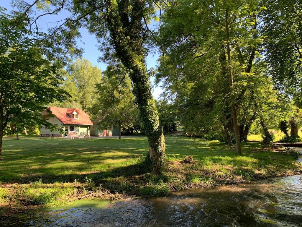 un arbre dans un champ avec une maison en arrière-plan dans l'établissement Chalet de l'Yeres, à Canehan