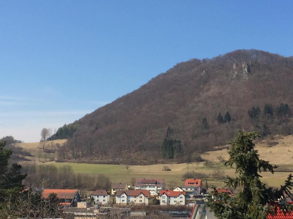 eine kleine Stadt vor einem Berg in der Unterkunft Ferienwohnung Merzenbühl in Bad Überkingen