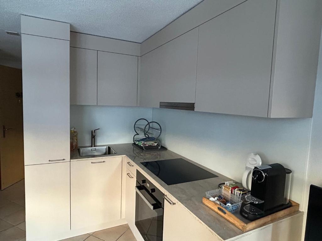 Kuchyň nebo kuchyňský kout v ubytování Haus Laurin
