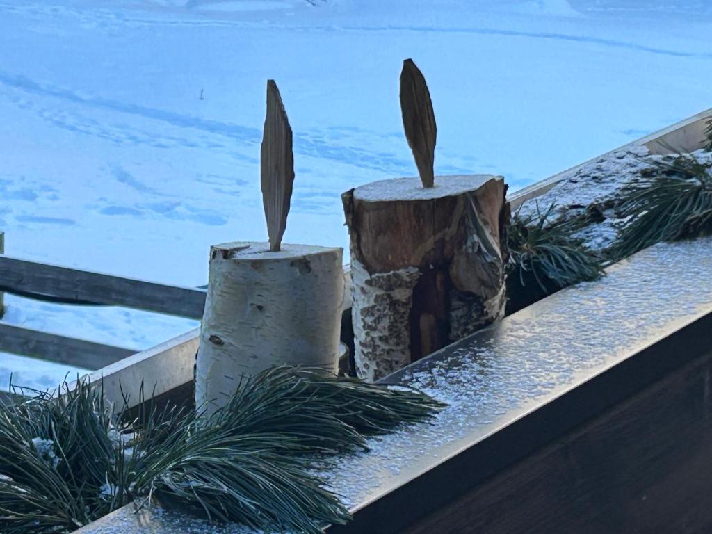 Fotografie z fotogalerie ubytování Haus Laurin v destinaci Zermatt