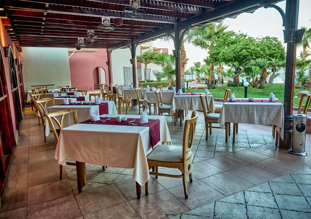 Restaurace v ubytování Tropitel Dahab Oasis