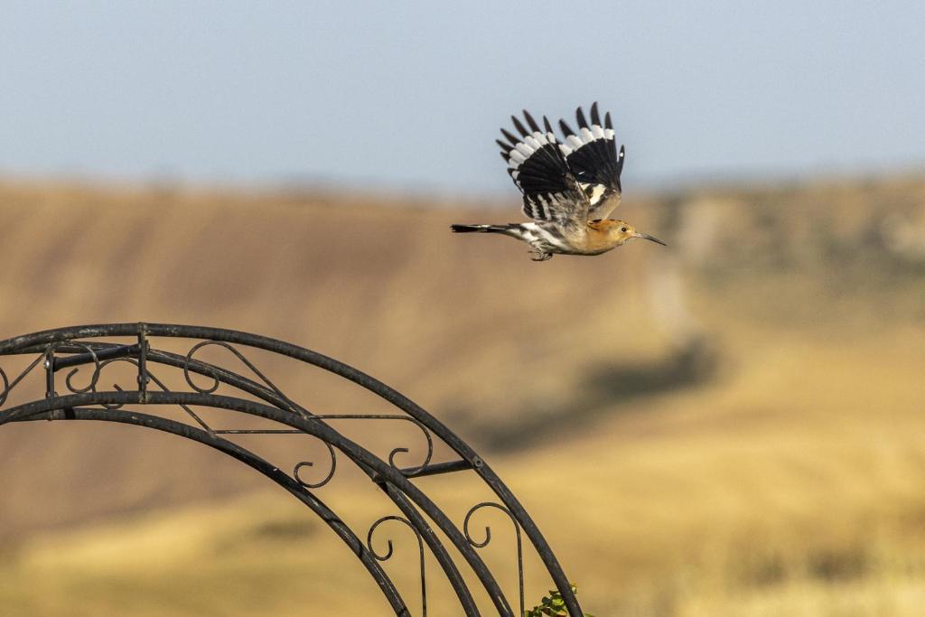 Vento d’Orcia - 15