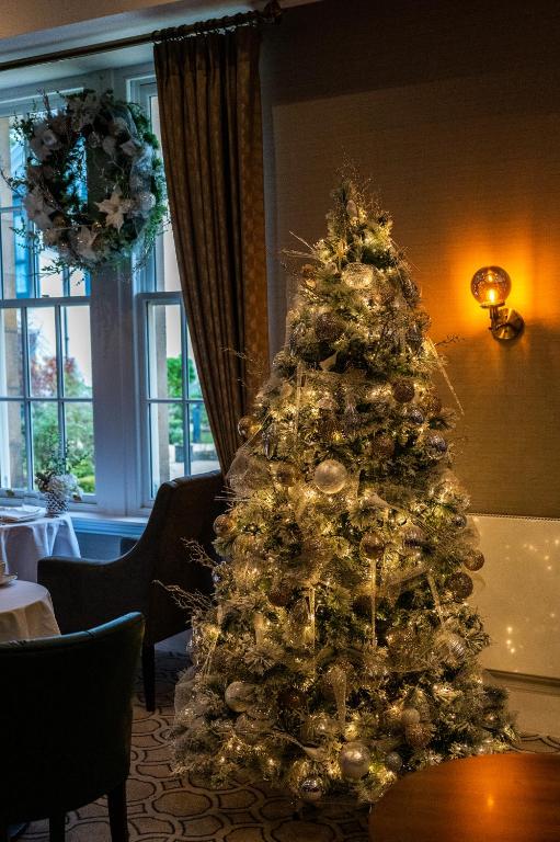 Ness Walk - Resim 11