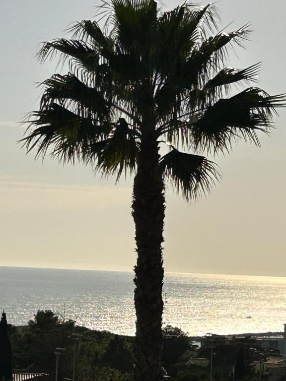 un palmier en face de l'océan dans l'établissement Escapade, à Sète