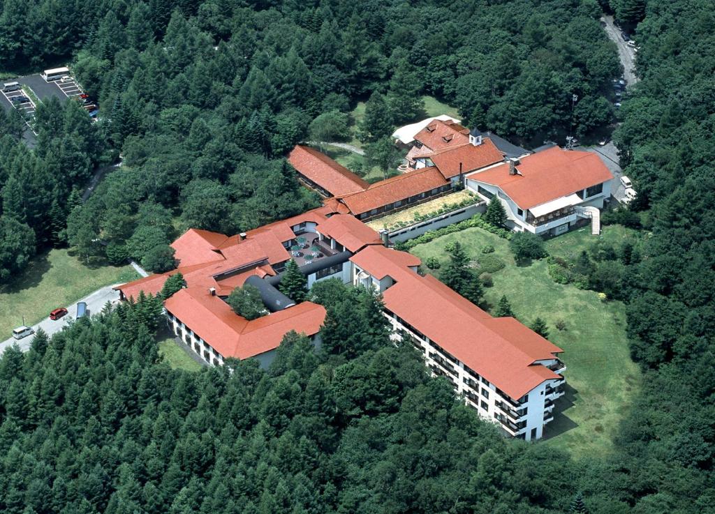 Příroda nedaleko hotelu