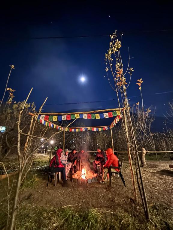 a group of people sitting around a fire at night at Basecamp Manali in Manāli