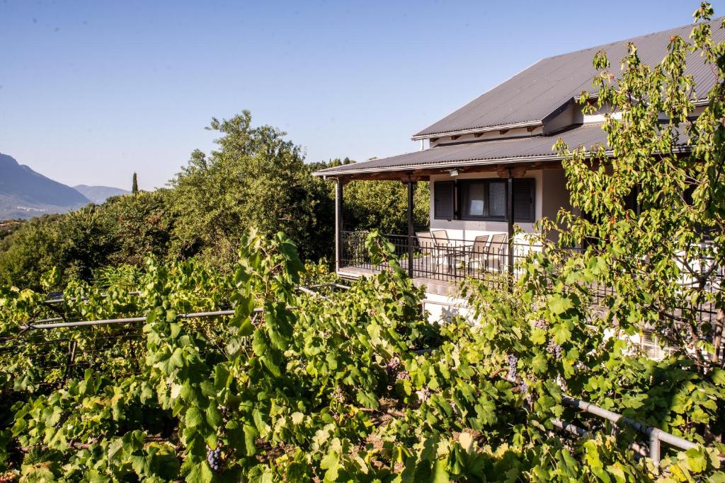 Agnes Cottage House في كونيتسا: منزل أمامه مجموعة من النباتات