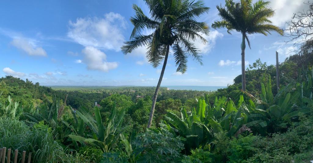 two palm trees in a jungle with a view at Suítes Benfica in Arraial d'Ajuda