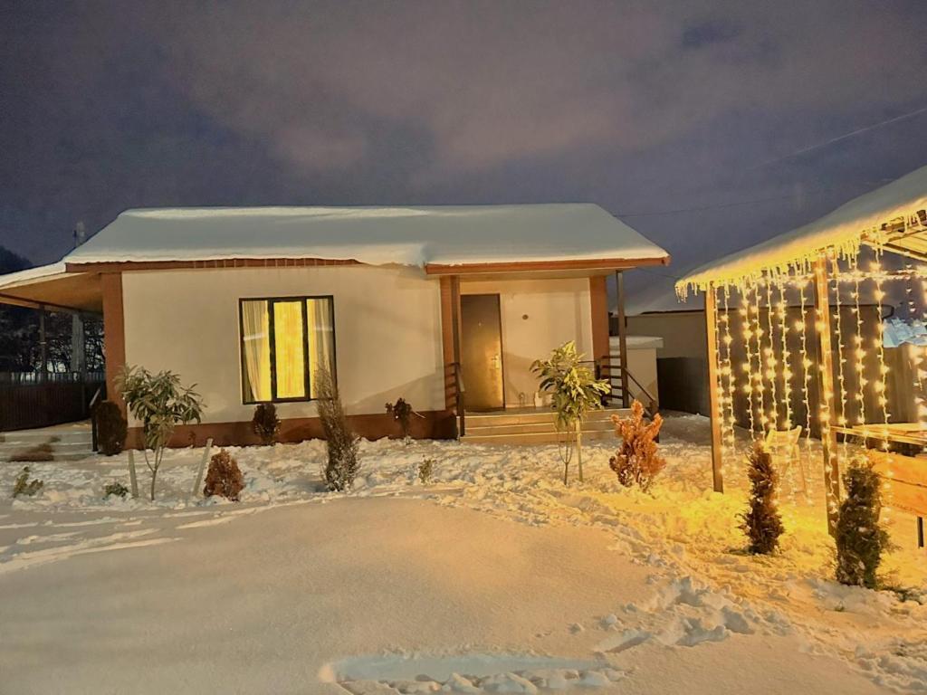 Mountain house v zimě