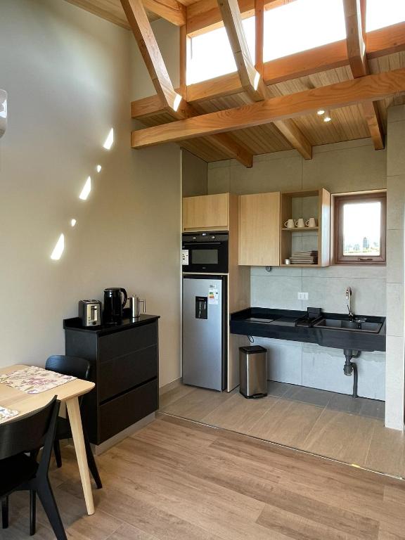 Kuchyň nebo kuchyňský kout v ubytování Ave Lodge Frutillar