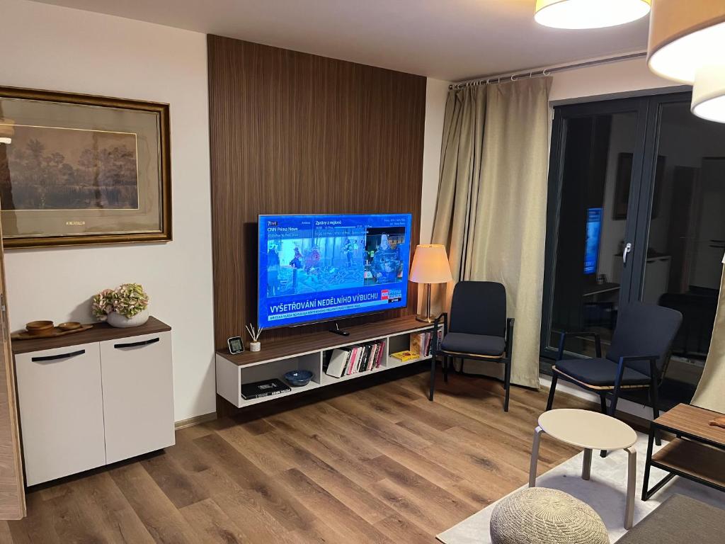 TV a/nebo společenská místnost v ubytování Apartmán Hruška Černý Důl