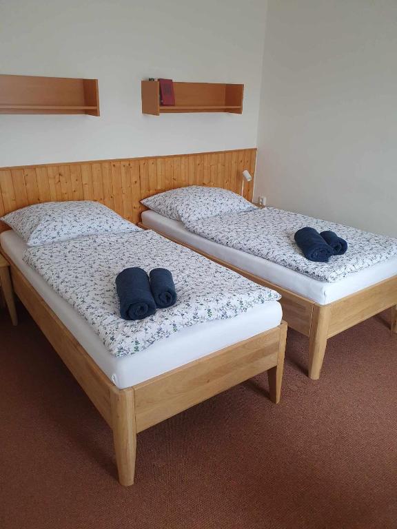 Postel nebo postele na pokoji v ubytování Hotel a Penzion PEGAS