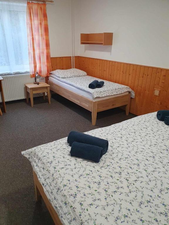 Postel nebo postele na pokoji v ubytování Hotel a Penzion PEGAS