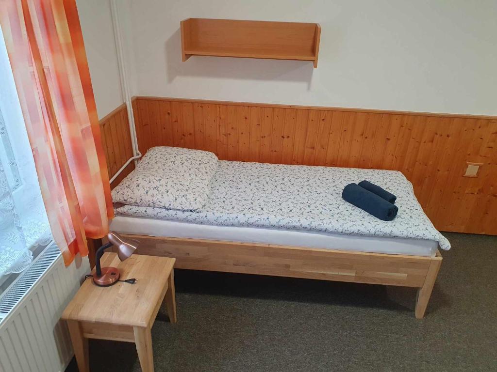 Postel nebo postele na pokoji v ubytování Hotel a Penzion PEGAS