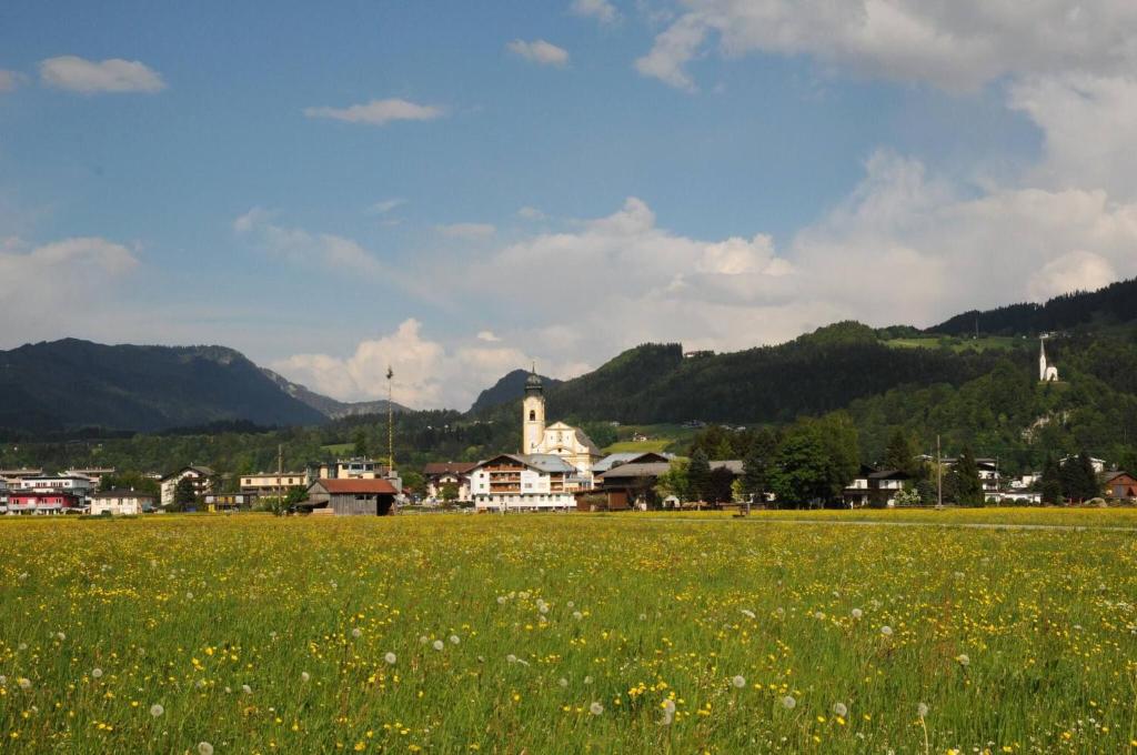 A general mountain view or a mountain view taken from a vendégházakat