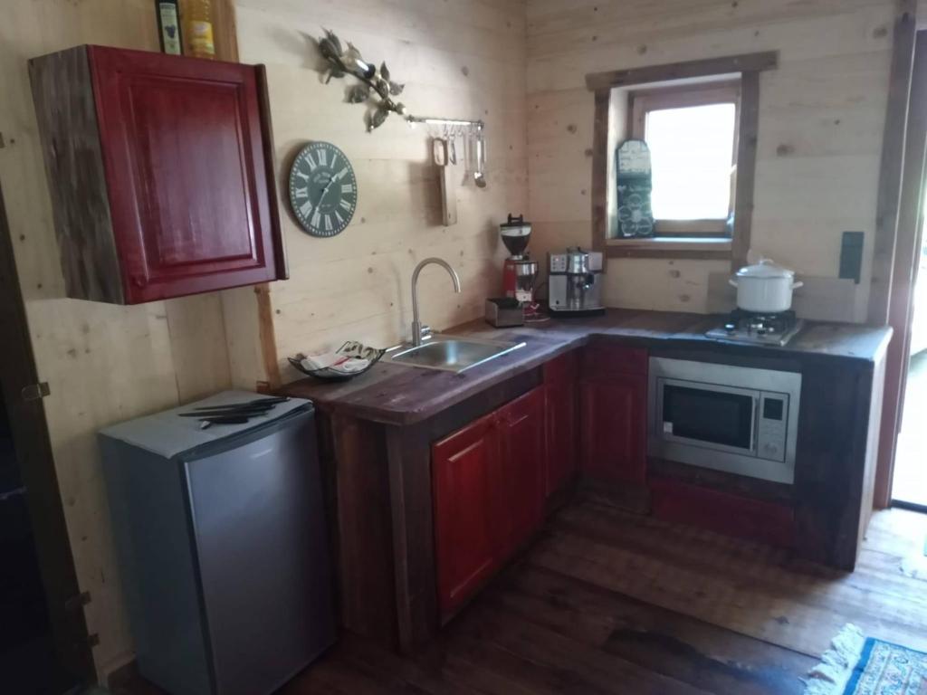 A kitchen or kitchenette at Kaiserhaus Harald Astner Ebbs Studio 1