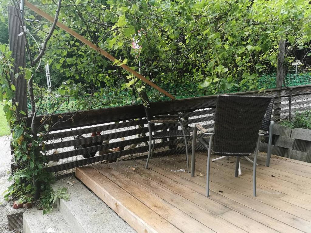 A garden outside Kaiserhaus Harald Astner Ebbs Studio 1