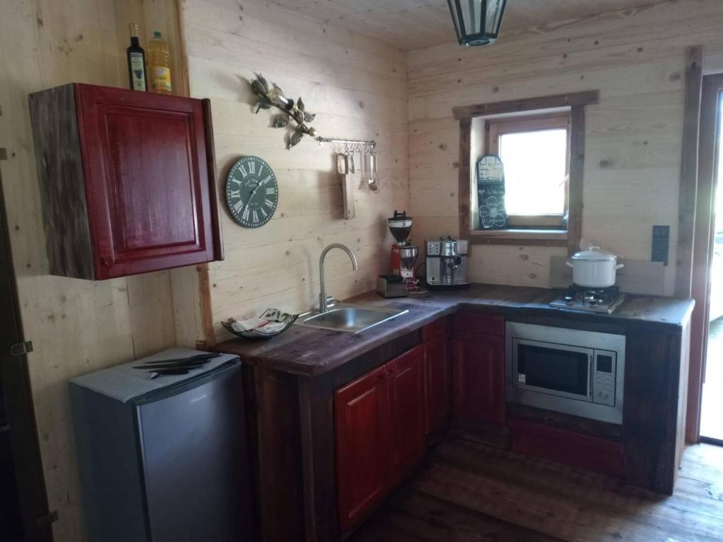A kitchen or kitchenette at Kaiserhaus Harald Astner Ebbs Studio 1