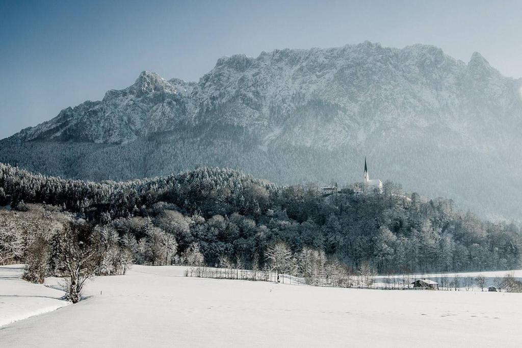 Táj a vendégház közelében
