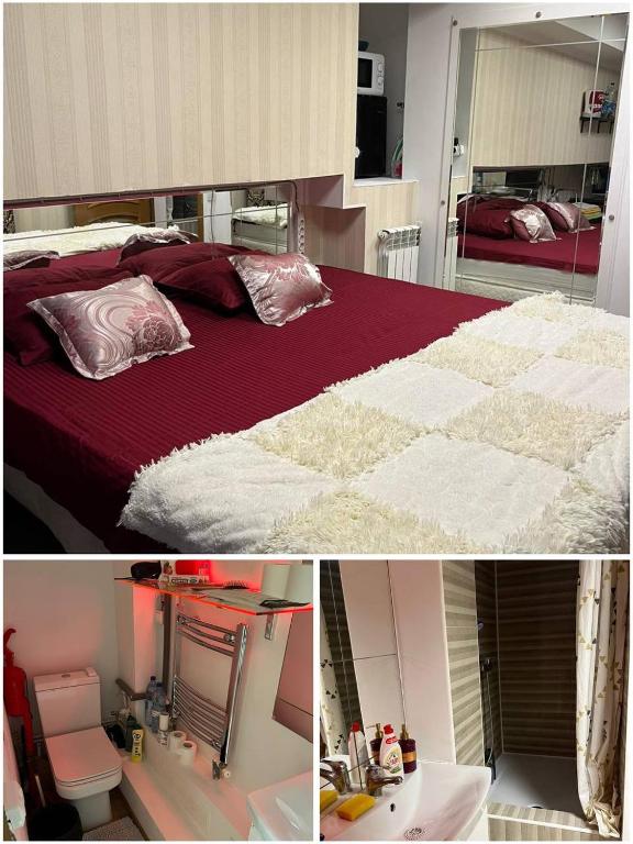 Hostel房間的床