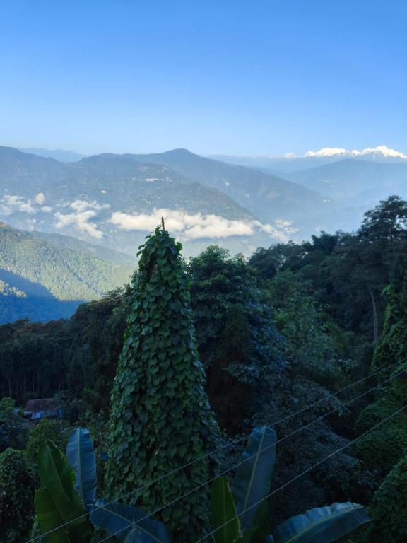 Fotografie z fotogalerie ubytování Chamling Retreat v destinaci Kalimpong