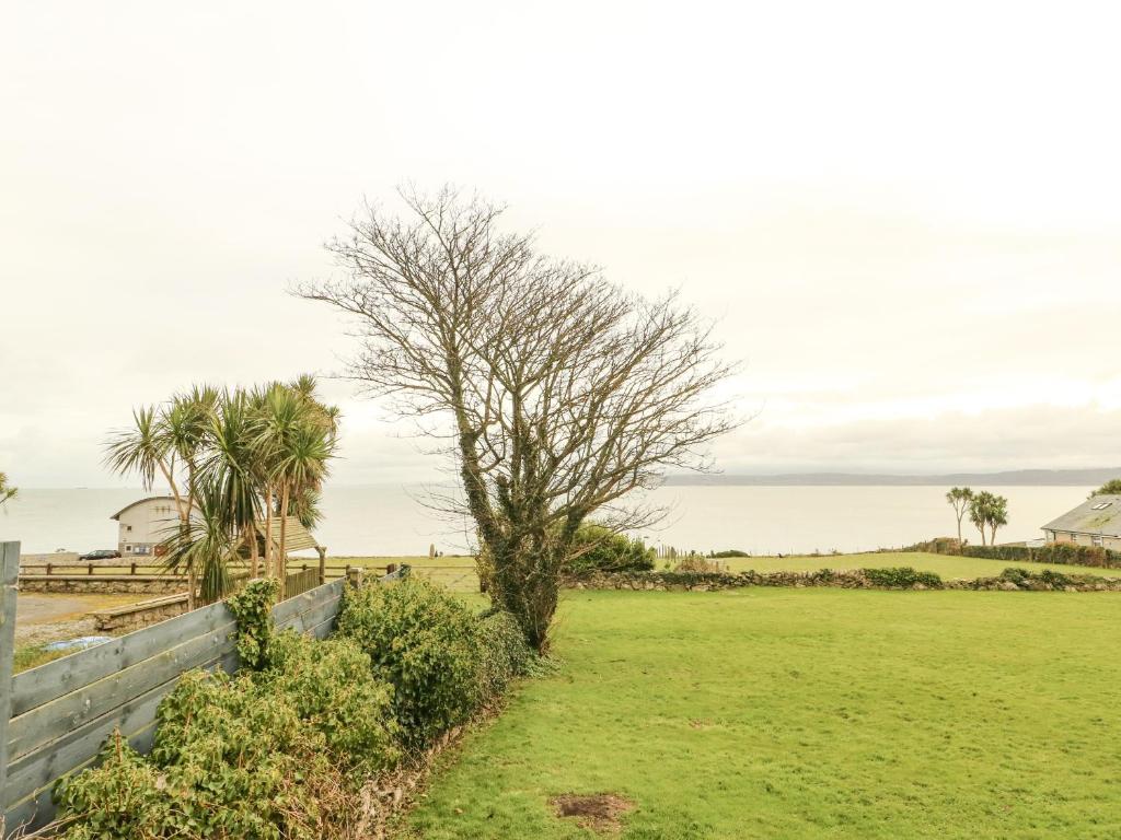 a tree in a field with the ocean in the background at Bryn Teg Cottage in Moelfre