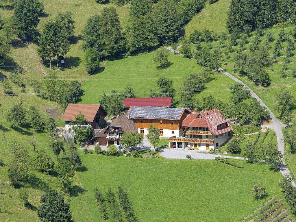 an aerial view of a house on a hill at Schlossberghof in Haslach im Kinzigtal