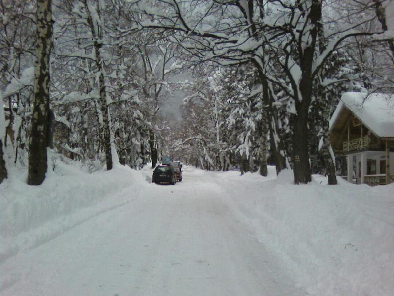 Mavrikova Kushta v zimě