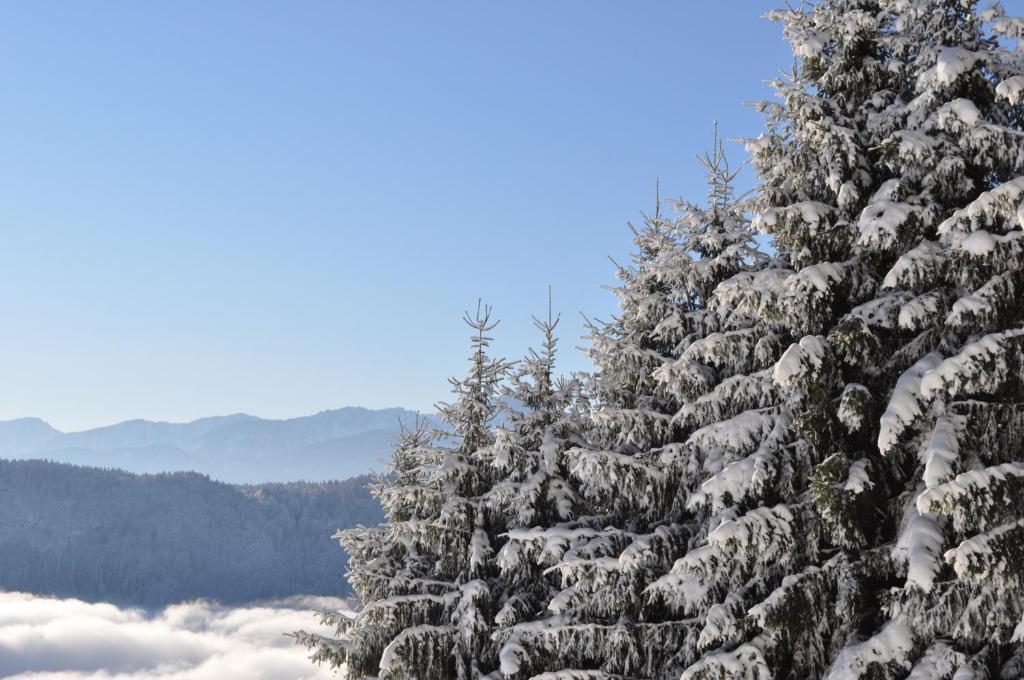 Mathiasl Wellness-Ferienhäuser - 8