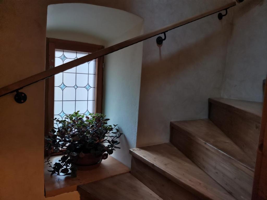 Fotografie z fotogalerie ubytování Apartmány U Koudelníka v destinaci Kutná Hora