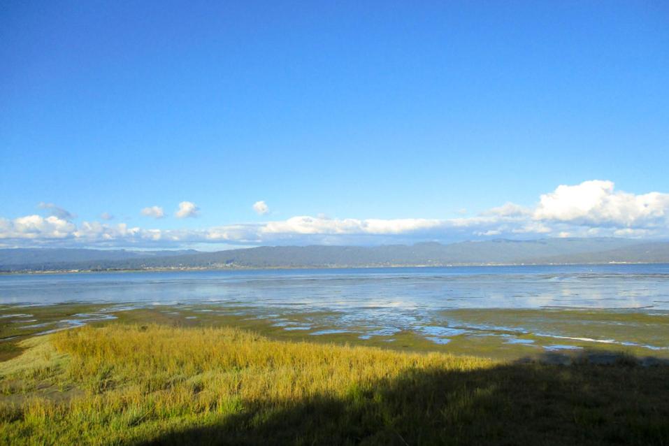 Billede fra billedgalleriet på Bayfront Getaway i Arcata