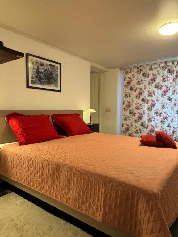 Un dormitorio con una cama grande con almohadas rojas. en Attractive with Total Comfort - Ground Floor, en Valkenburg
