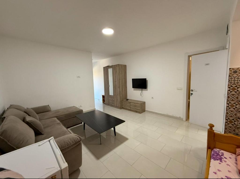 TV a/nebo společenská místnost v ubytování Vila Metohija