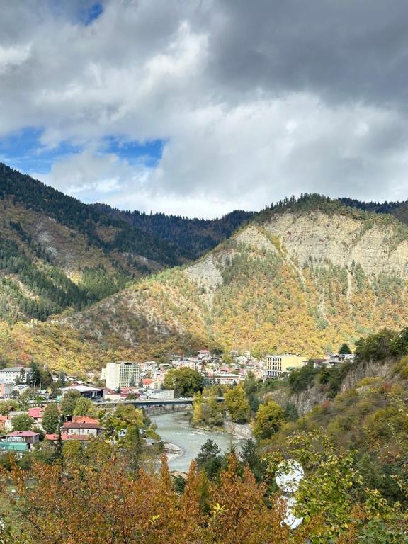 a town with a river and a mountain at Woodland Borjomi in Borjomi