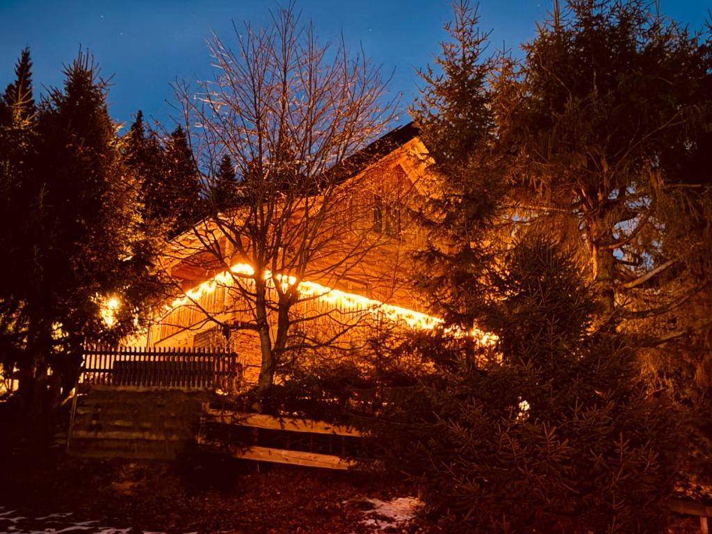 a building with lights on it at night at ALMNEST - LACHTAL in Lachtal