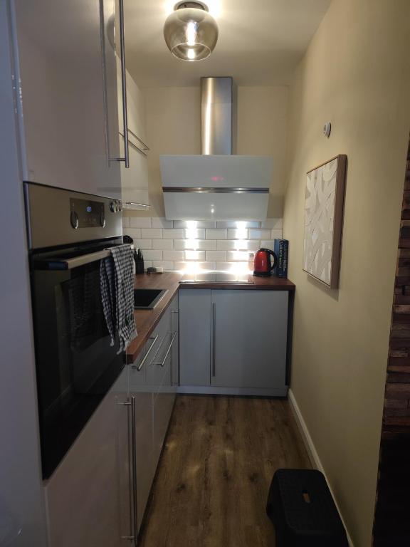 Kuchyň nebo kuchyňský kout v ubytování Moderne Wohnung mit Seeblick