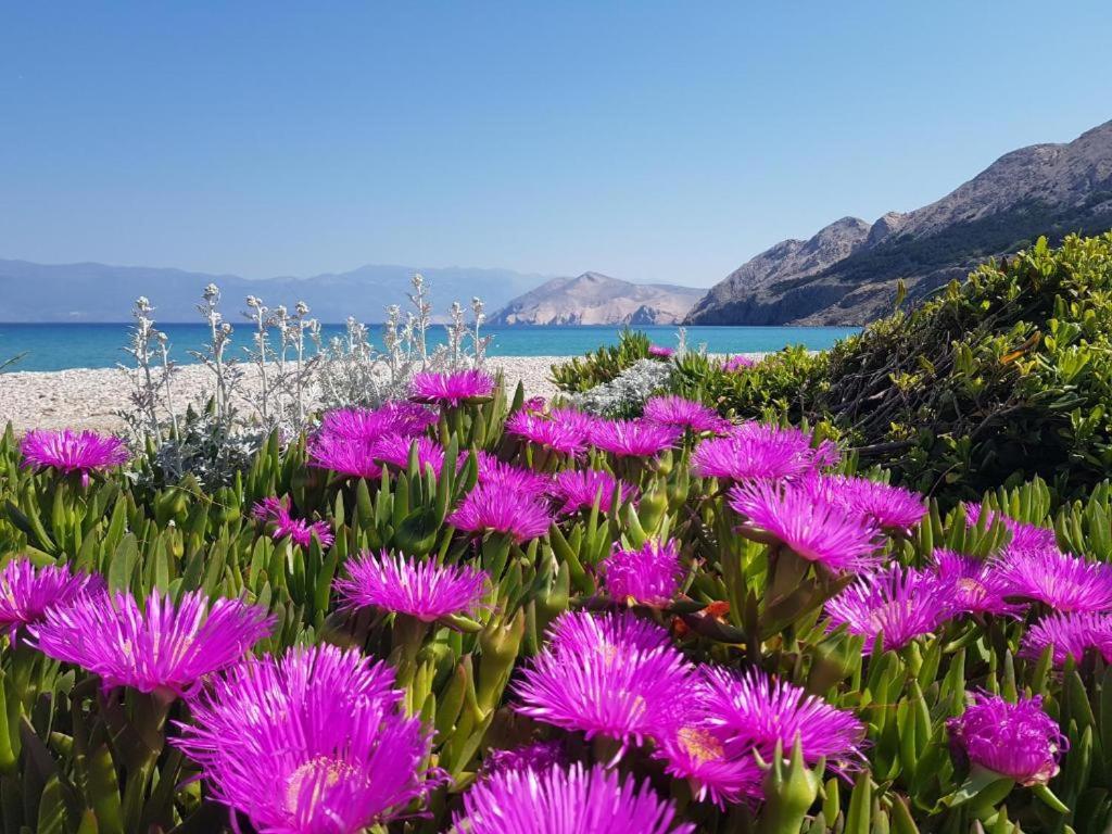 Apartments Prestige Baška