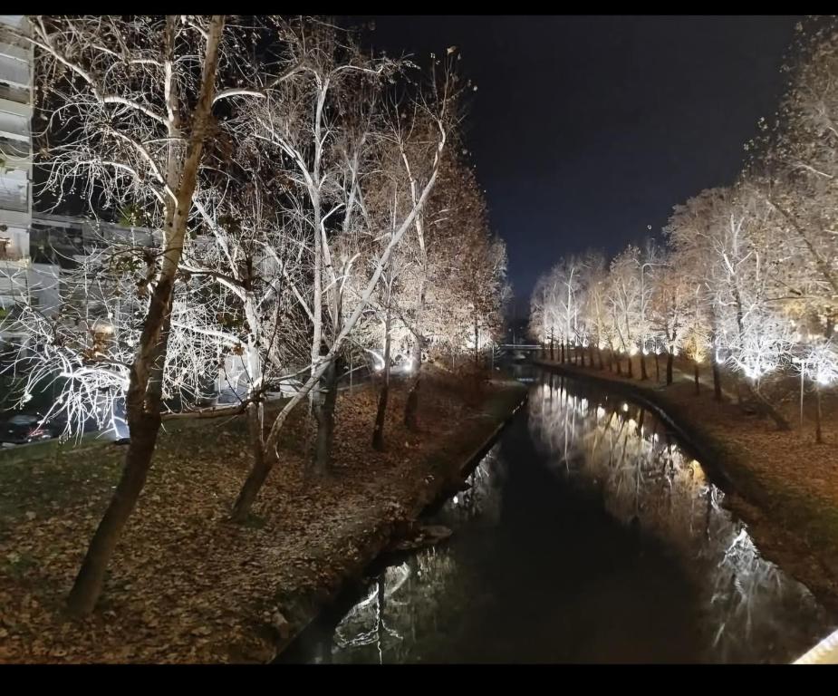 Elegante apartamento centrale - 11