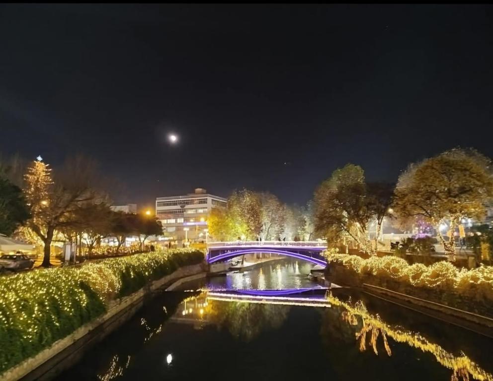 Elegante apartamento centrale - 7