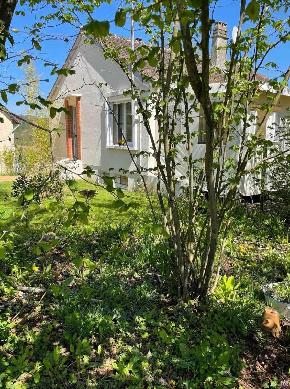 un arbre dans l'herbe devant une maison dans l'établissement La maison d'Aurore et Patrice - jacuzzi couvert et jardin privés, à Élincourt-Sainte-Marguerite