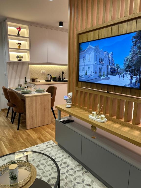 TV a/nebo společenská místnost v ubytování Apartmani Central 3 & Free parking garage