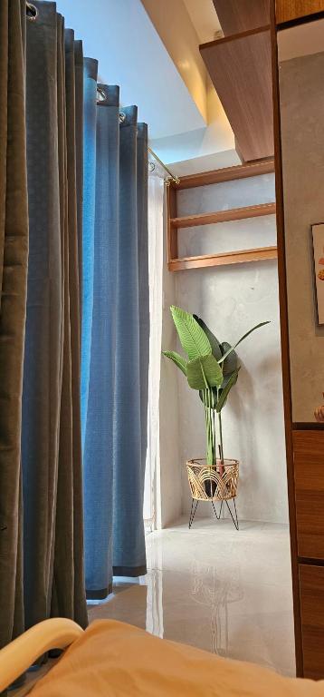 Fotografie z fotogalerie ubytování Cozy Flat in City Center v destinaci Cebu City