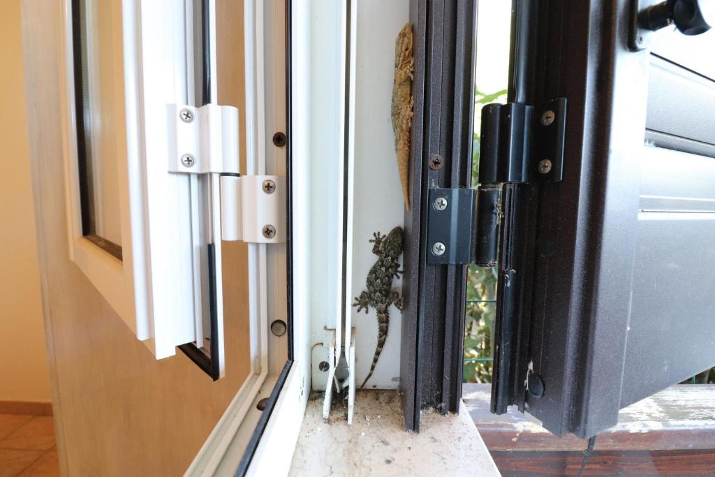 Zdjęcie z galerii obiektu Casa Regina Residence Torre Santo Stefano in Otranto 3 places w mieście Alimini