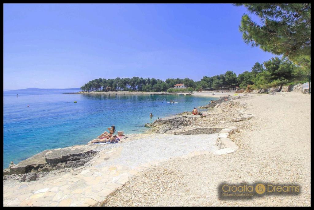 Príroda v okolí apartmánu
