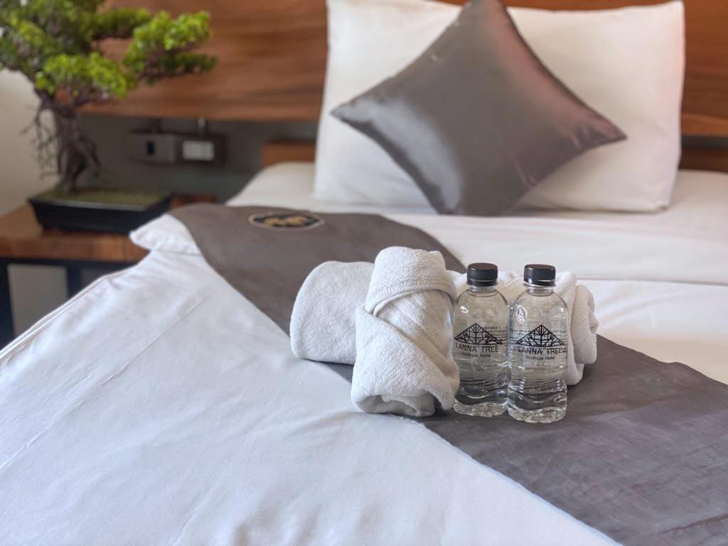 Lanna Tree - Resim 12