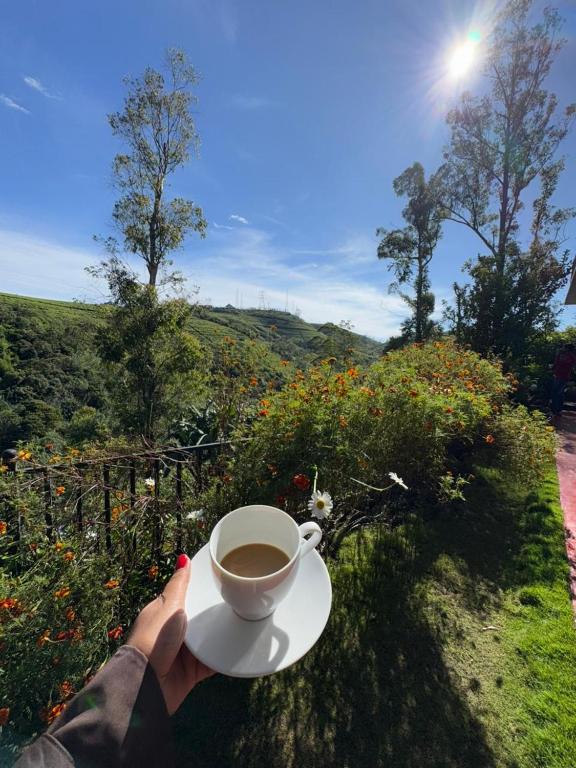 Green Gregory Villa Nuwara Eliya - 19